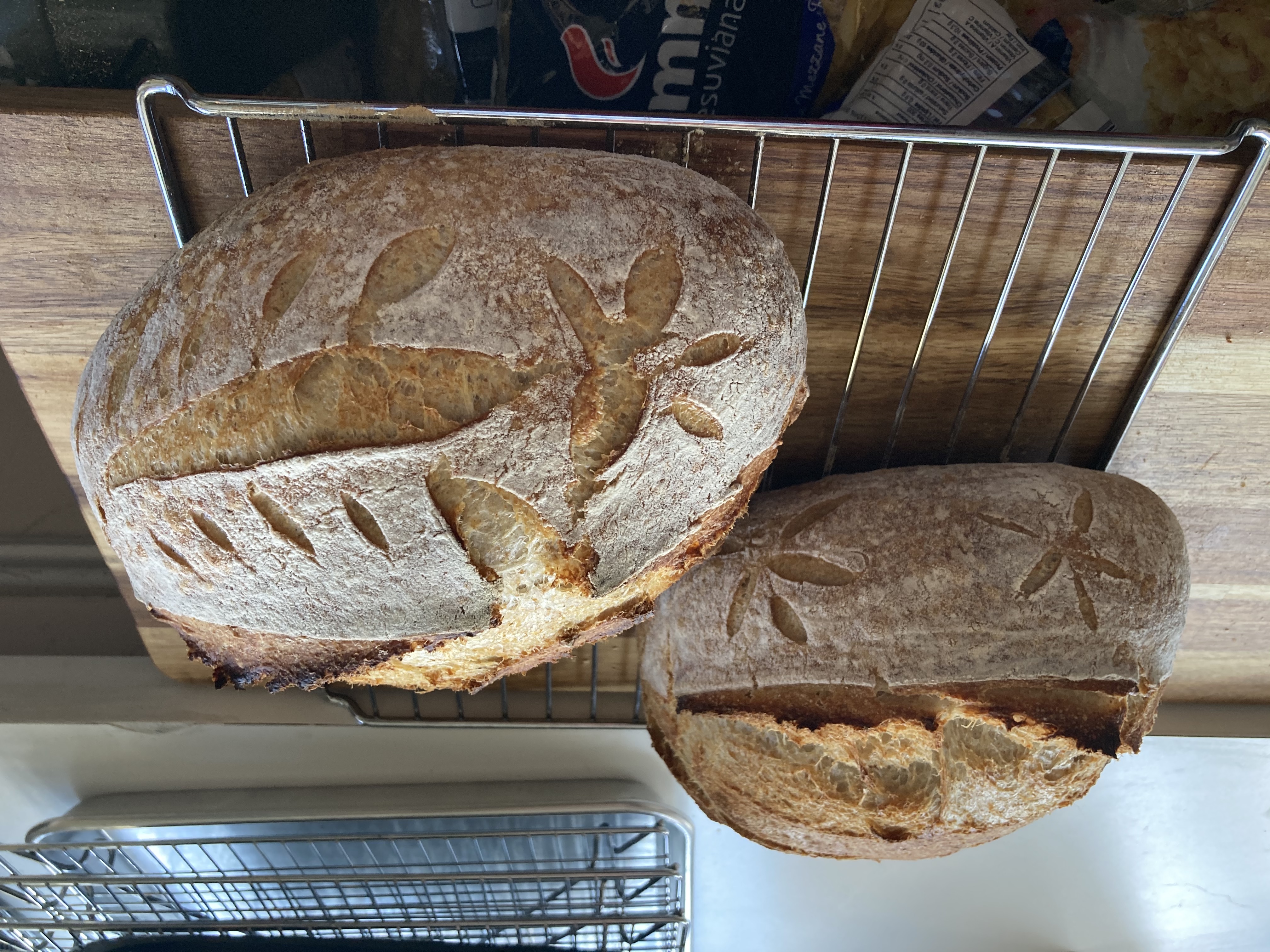 Sourdough Loaves