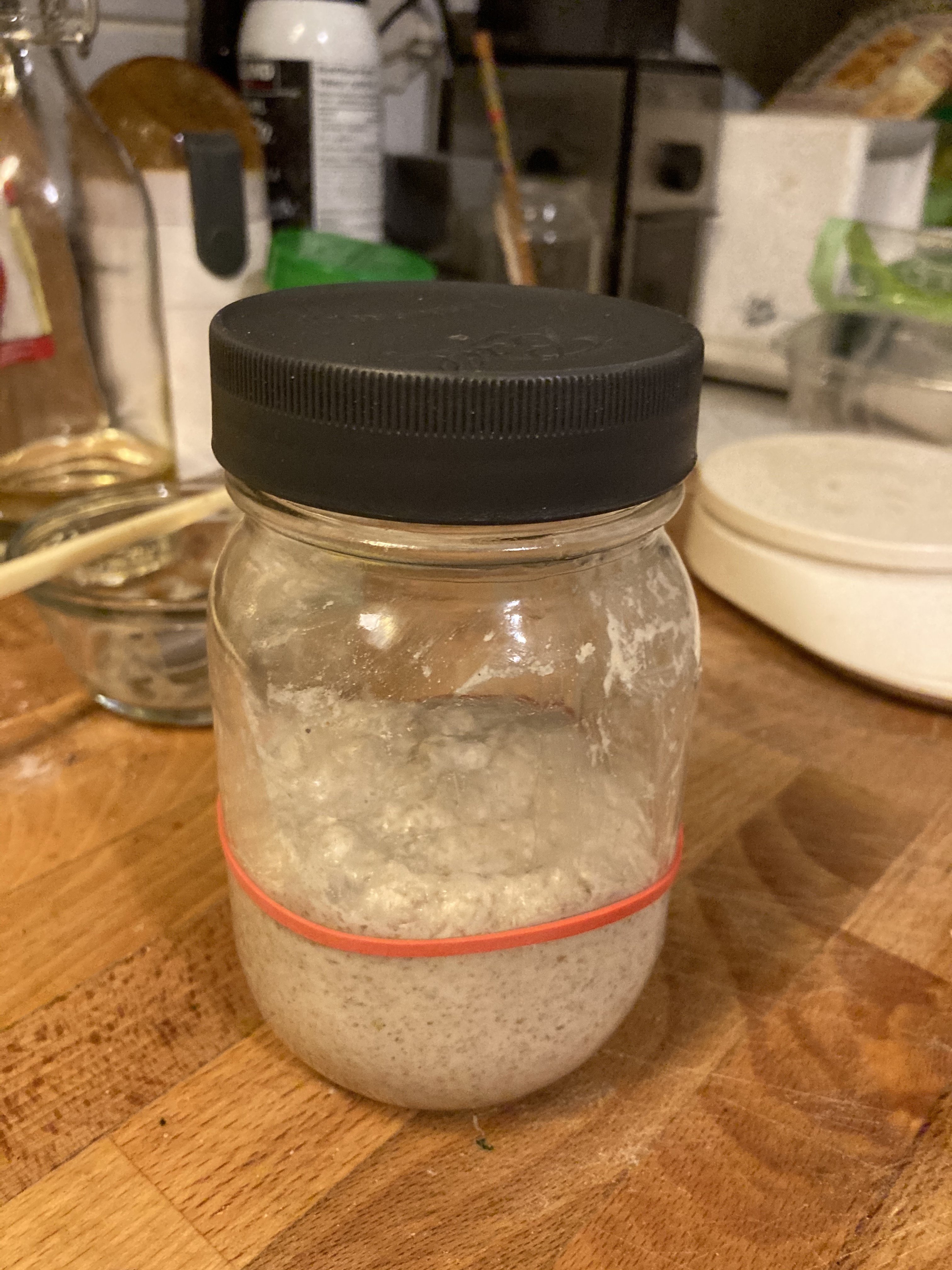 freshly fed sourdough starter